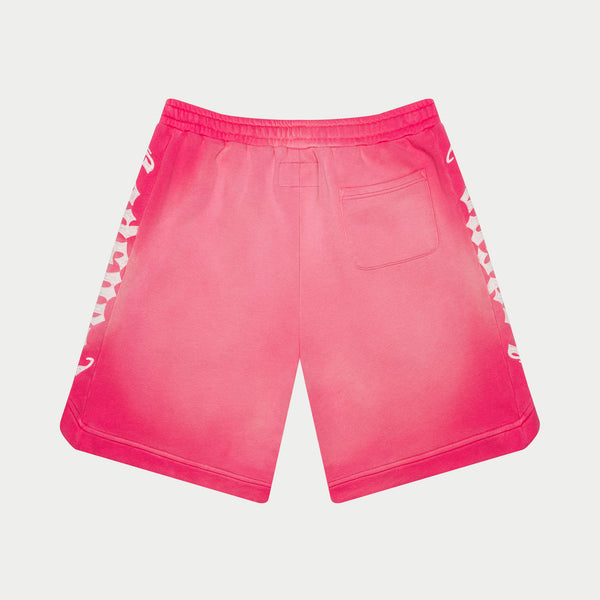 【THEAIRTOWN】 again satin track shorts Stylishly Sleek High Waist Satin Shorts | Windsor