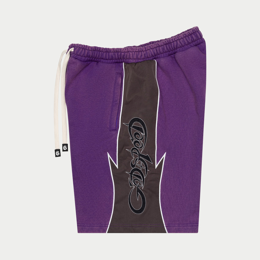 Halftime Shorts (Purple/Graphite)
