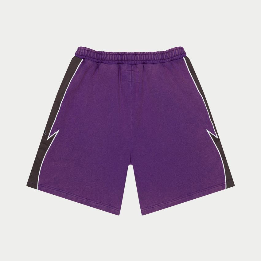 Halftime Shorts (Purple/Graphite)