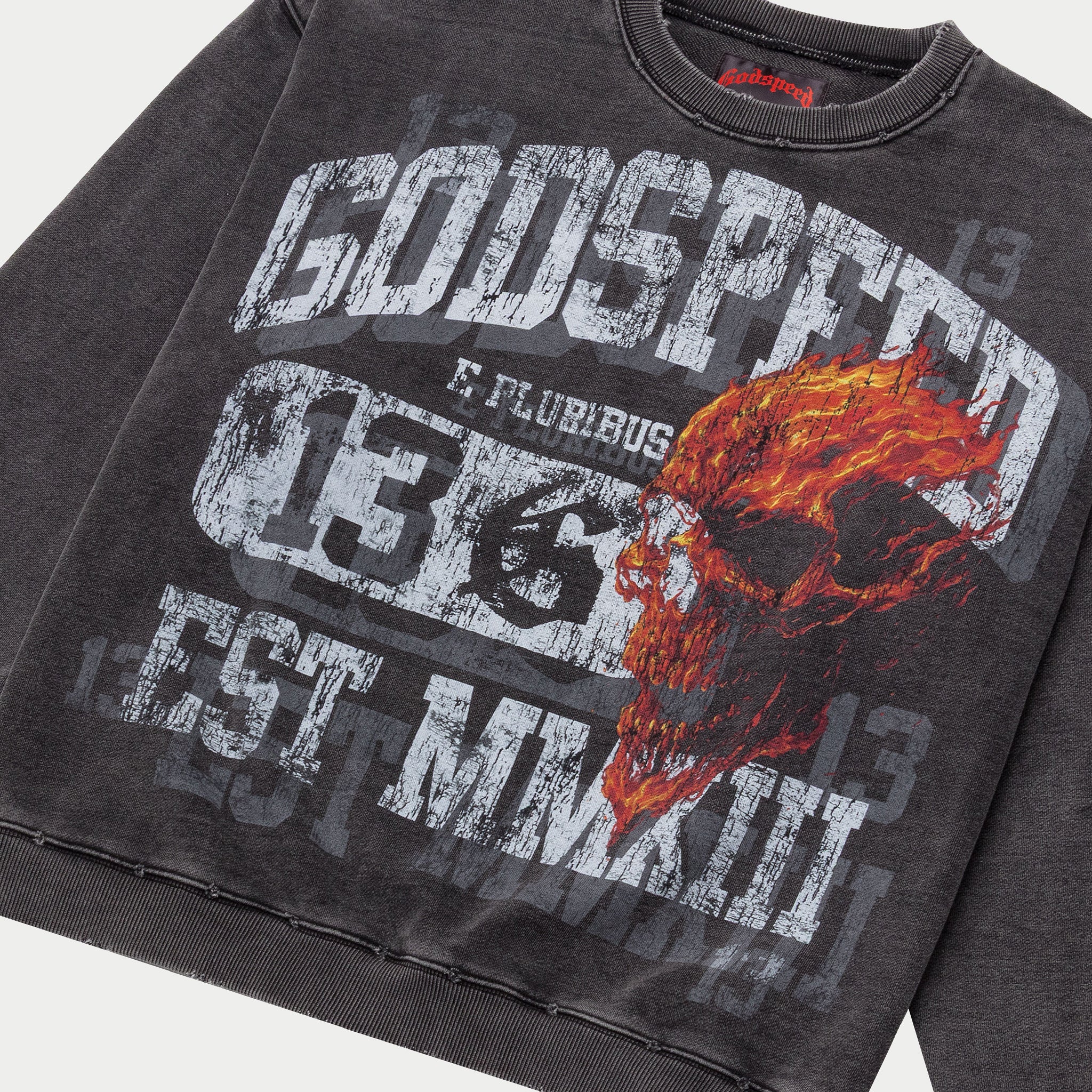 GODSPEED NEW YORK - Seeing Double Sweatshirt (Grey wash)