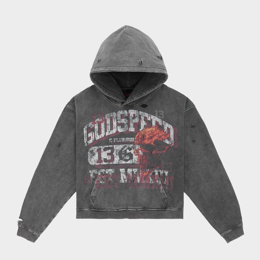 Seeing Double Hoodie (Grey wash)