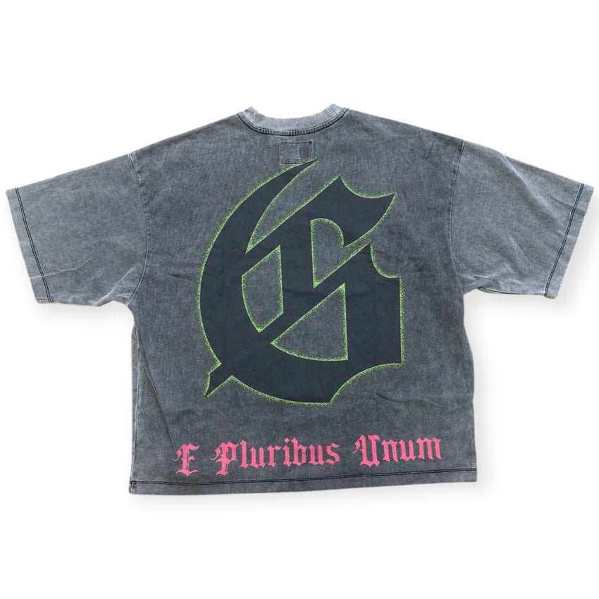 Vandal (Grey Wash)